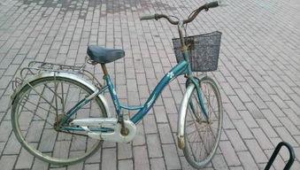 华龙单车爆料最新消息,行业动态揭秘，未来趋势前瞻