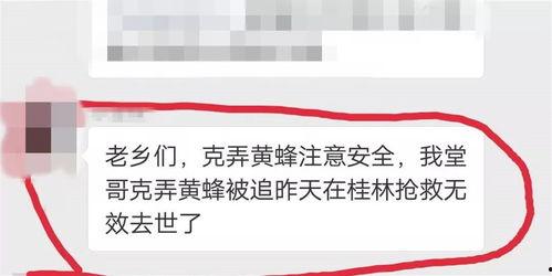 海宁王女士最新爆料,揭秘事件背后惊人真相