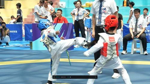 跆拳道最新爆料,神秘事件揭秘,高手对决背后的真相